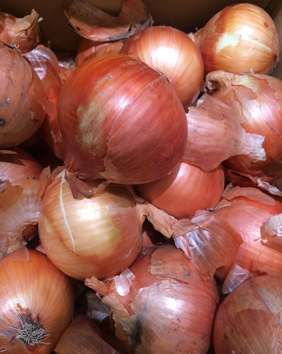 onions, seiyu ltd, living, supermarket, fruits and vegetables, HD wallpaper