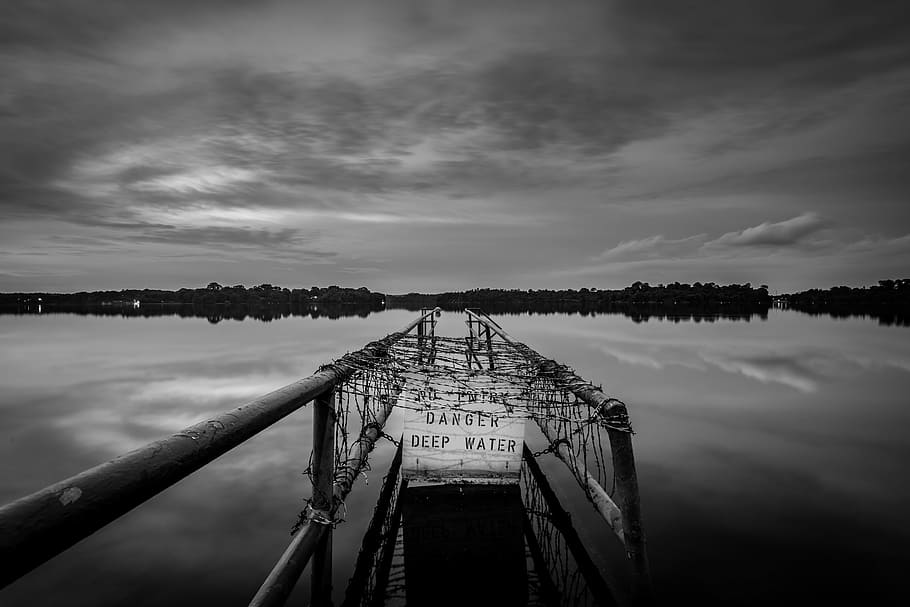 grayscale photography of dock far from trees, grayscale photography of bridge below body of water HD wallpaper