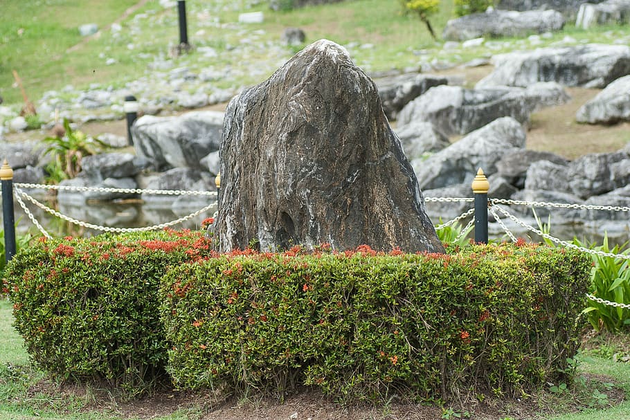 stone, bush, park, landscape, bushes, nature, plant, solid HD wallpaper