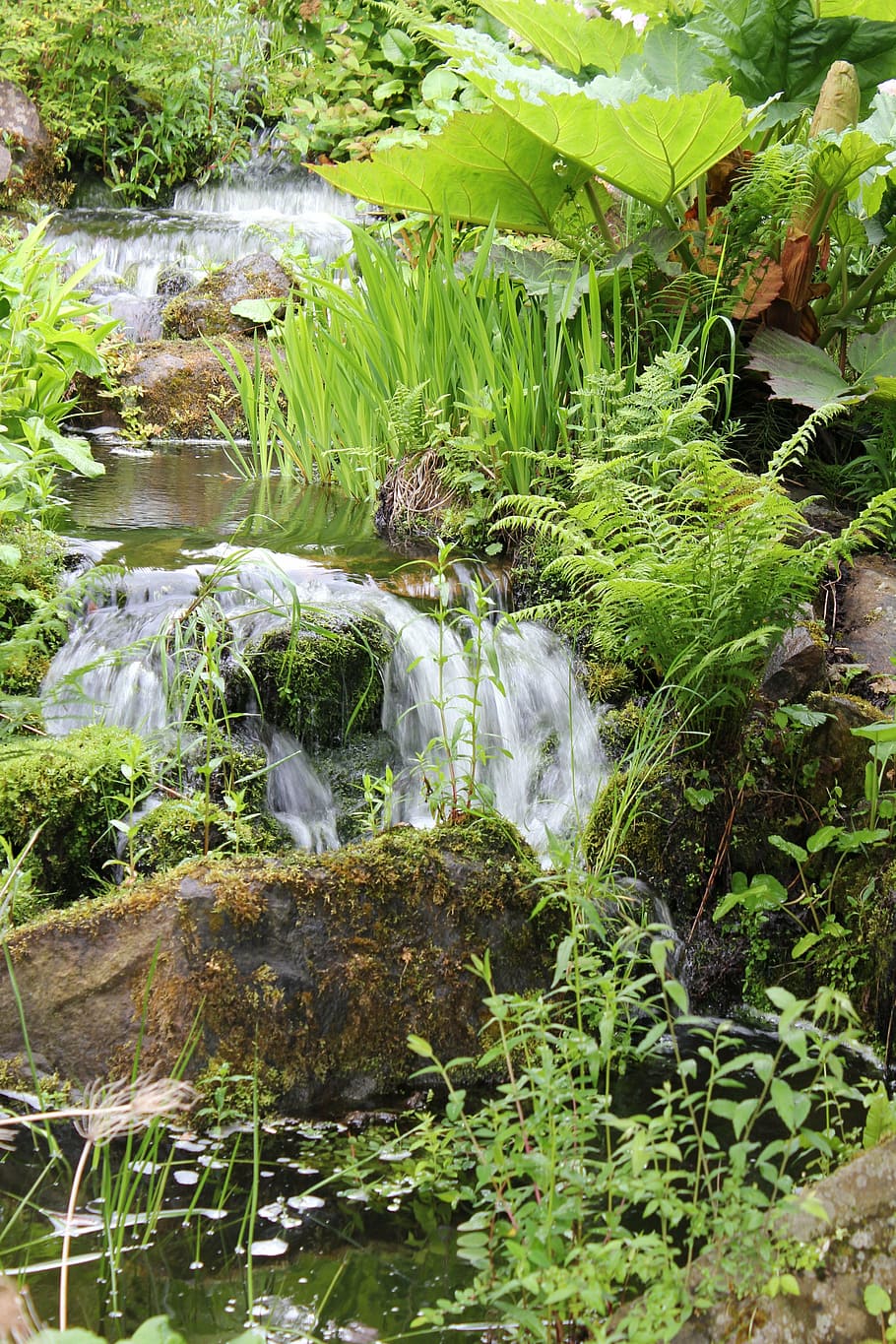 stream, burn, waterfall, river, vegetation, plants, green color HD wallpaper