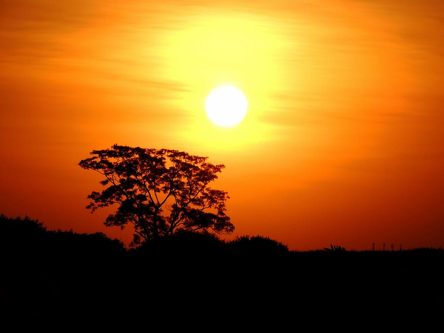sunset, against light, clouds in the sun, sky, silhouette, beauty in nature HD wallpaper