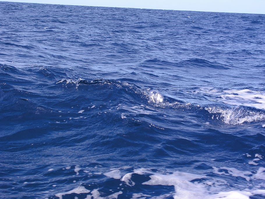 ocean, waves, blue, atlantic, water, sea, ocean wave, water wave HD wallpaper