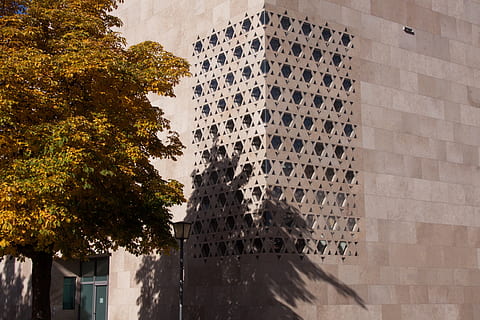 trees creating shadow to wall of building, home, architecture HD wallpaper