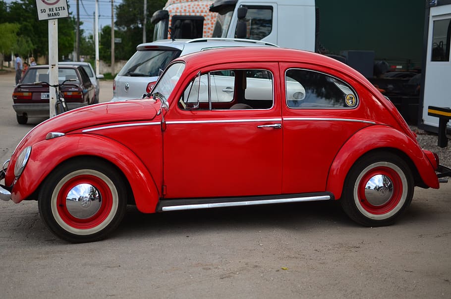 the, beetle, the beetle, car, old-fashioned, retro Styled, land Vehicle HD wallpaper
