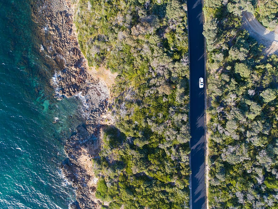 aerial view of body of water near trees, aerial view of a car traveling on black road HD wallpaper