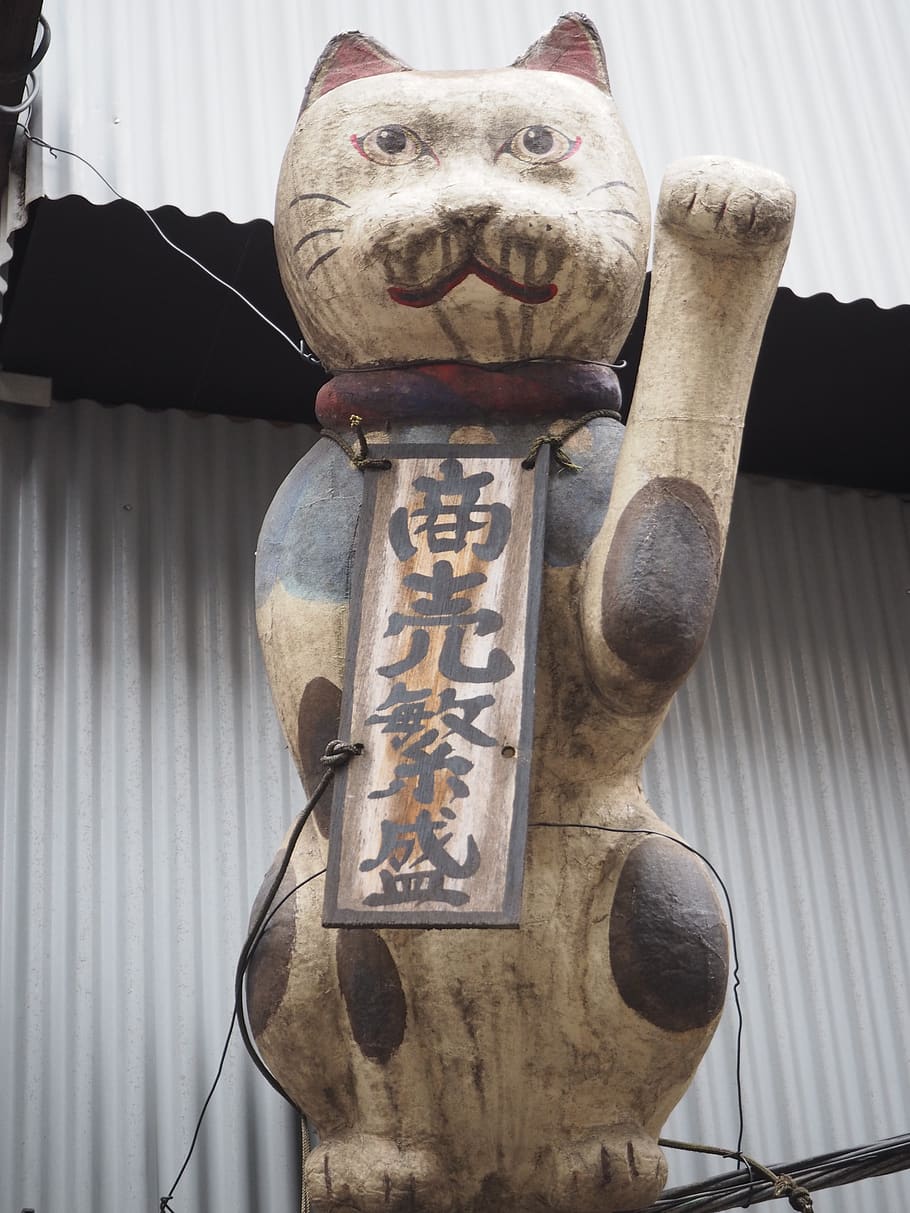 maneki neko, prosperous business, figurine, shinjuku, communication, HD wallpaper