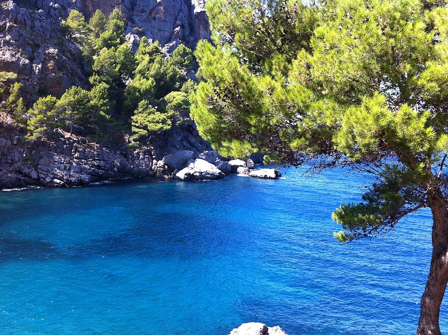 aerial photography of body of water, spain, mallorca, beach HD wallpaper