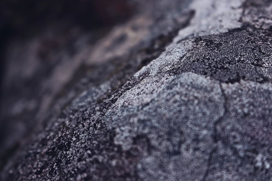 closeup photo of grey pavement, gray tree bark, rock, lake, peat HD wallpaper