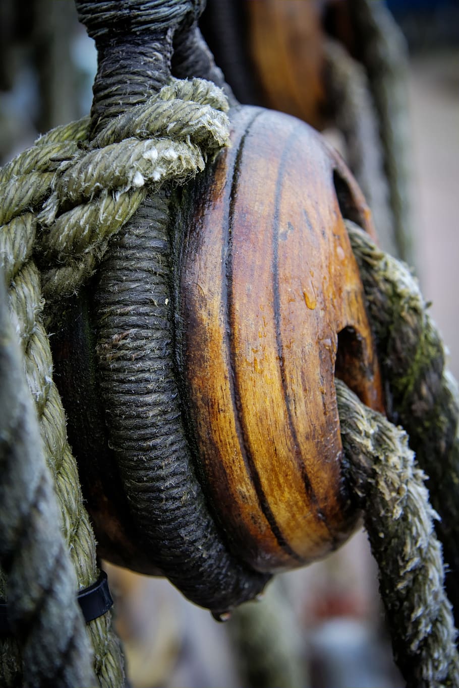 boat, rigging, rope, dead mans eye, ship, marine, vessel, sea HD wallpaper