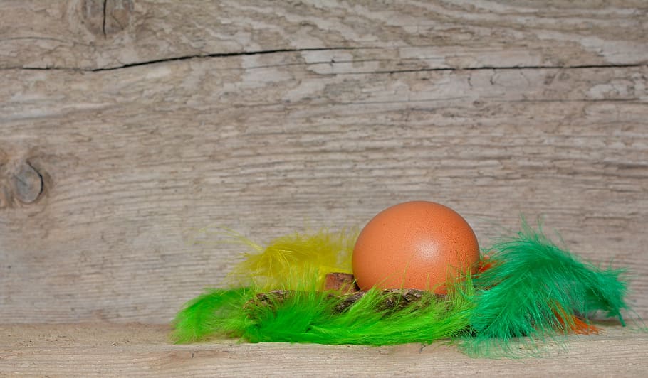 background, egg, feather, colorful feathers, wood, text dom HD wallpaper