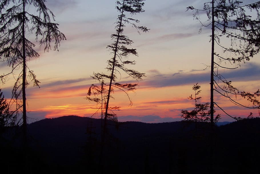 Sunset, Landscape, Tree, Sky, red, clouds, outdoors, scenic HD wallpaper