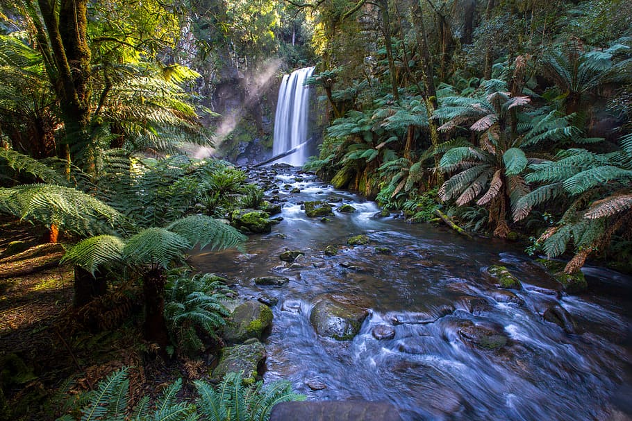 waterfalls between grass and trees at daytime, waterfalls and green forest HD wallpaper