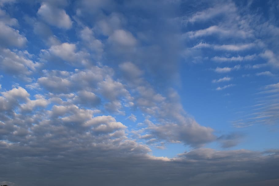 Sky, Clouds, Form, blue, clouds form, covered sky, fleecy, beautiful HD wallpaper