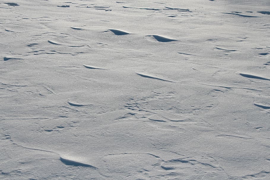 schneeflaeche, snow, winter, wintry, winter cold, backgrounds HD wallpaper