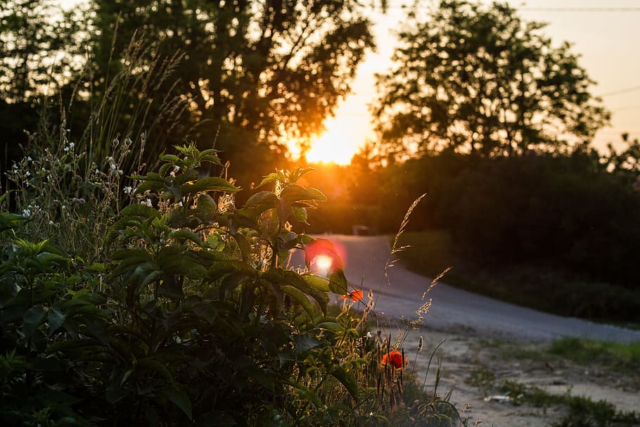 Sunset, Landscape, Nature, Colors, in the evening, night lights HD wallpaper
