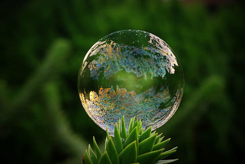 time lapse photography of water drop above green plant, soap bubble HD wallpaper