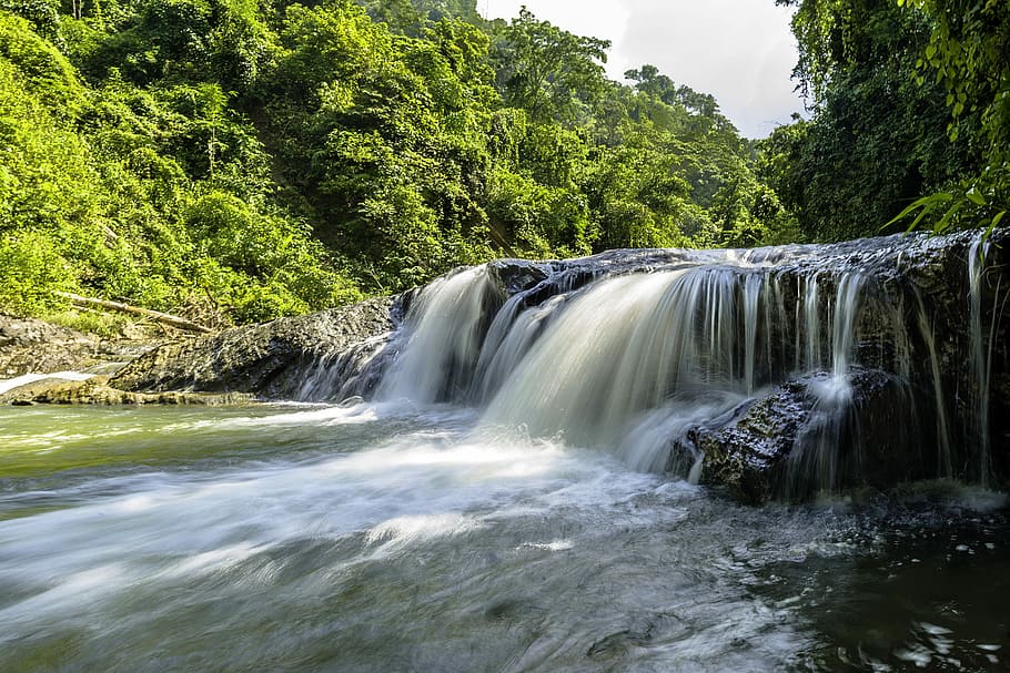 waterfall surrounded by forest, waterfall in the middle of forest HD wallpaper
