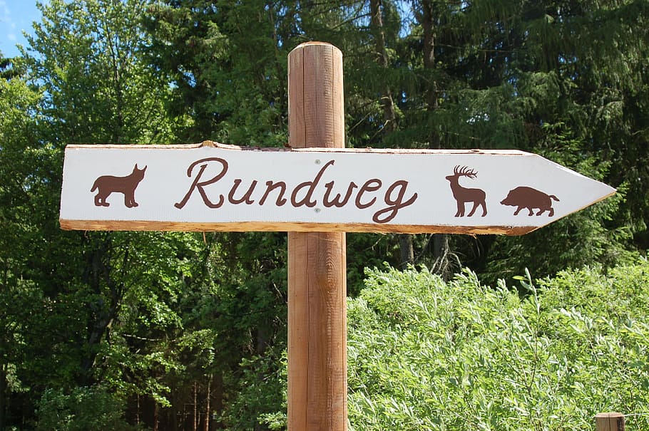shield, animals, forest, lynx, boar, roe deer, text, plant HD wallpaper