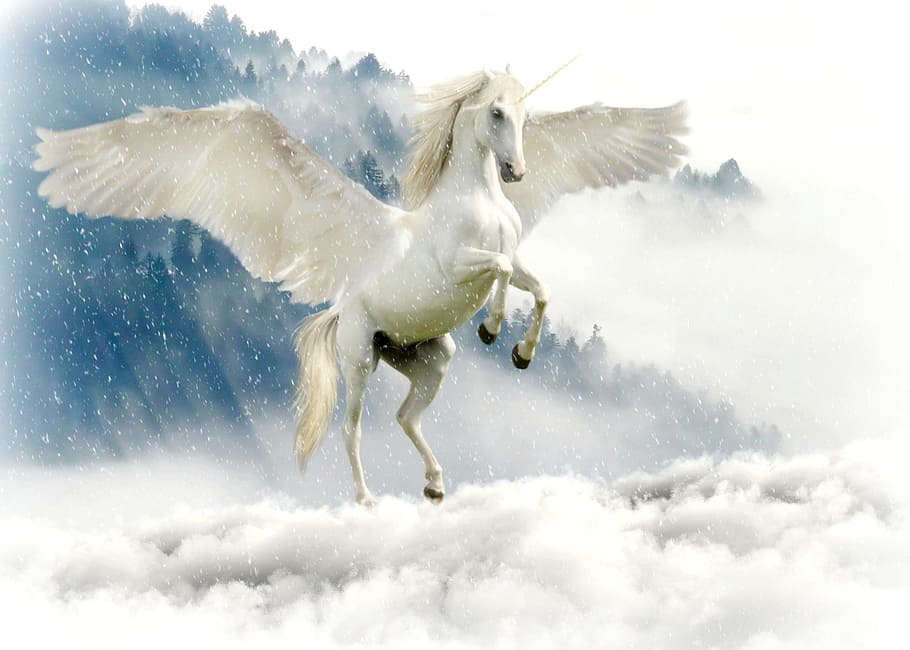 Pegasus Wallpaper 2020 HD Unicorn Wallpapers for Android  Download