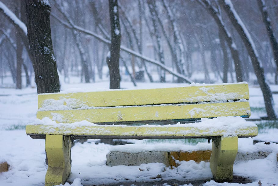 snow covered yellow bench near trees, snow-covered yellow wooden bench near tree HD wallpaper
