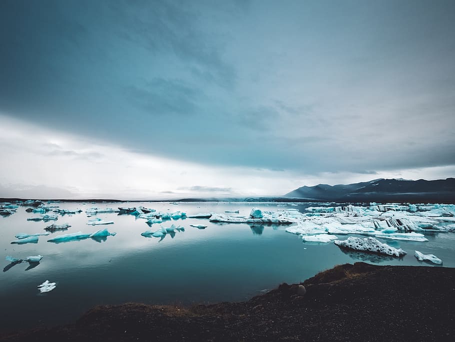 ice bergs on body of water, landscape photograph of body of water during daytime HD wallpaper
