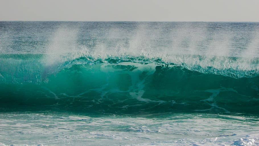 barrel of waves, transparent, smashing, spray, foam, wind, spectacular HD wallpaper