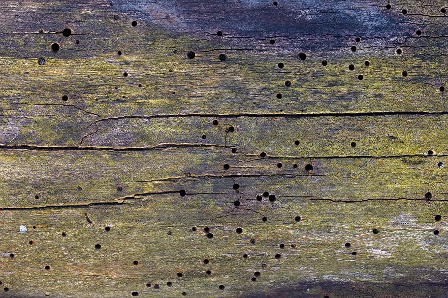 Texture, Background, Wood, Structure, old, backgrounds, textured HD wallpaper