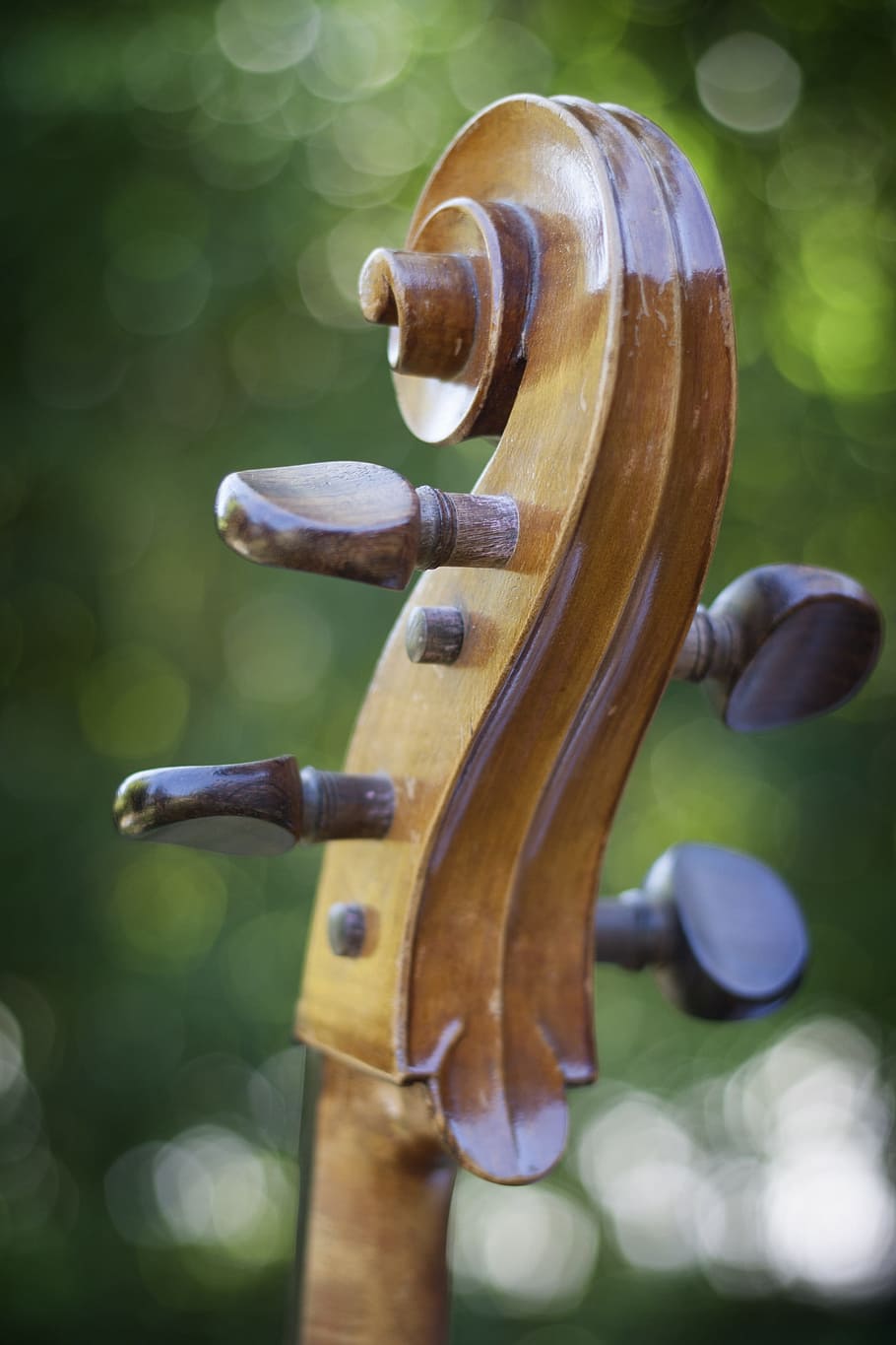 selective focus photography of brown instrument headstock, Cello, HD wallpaper