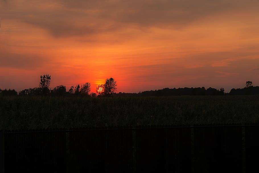 sunset, landscape, sky, lying, nature, light, evening, twilight HD wallpaper