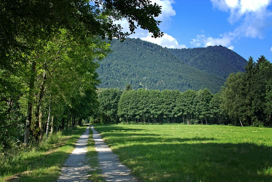 photo of road beside rice field with a view of mountain under blue sky HD wallpaper