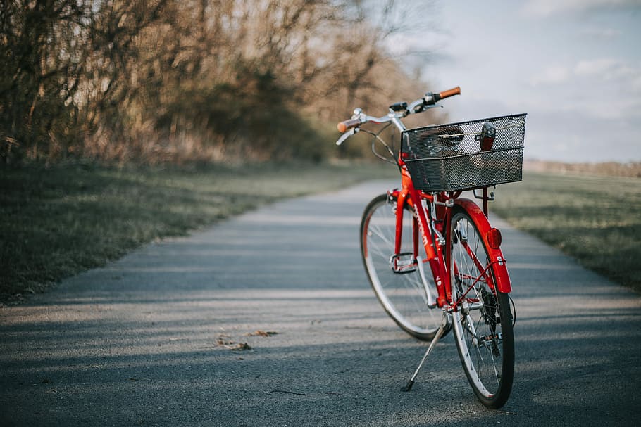 red bicycle on road near trees, red bicycle on gray pavement HD wallpaper