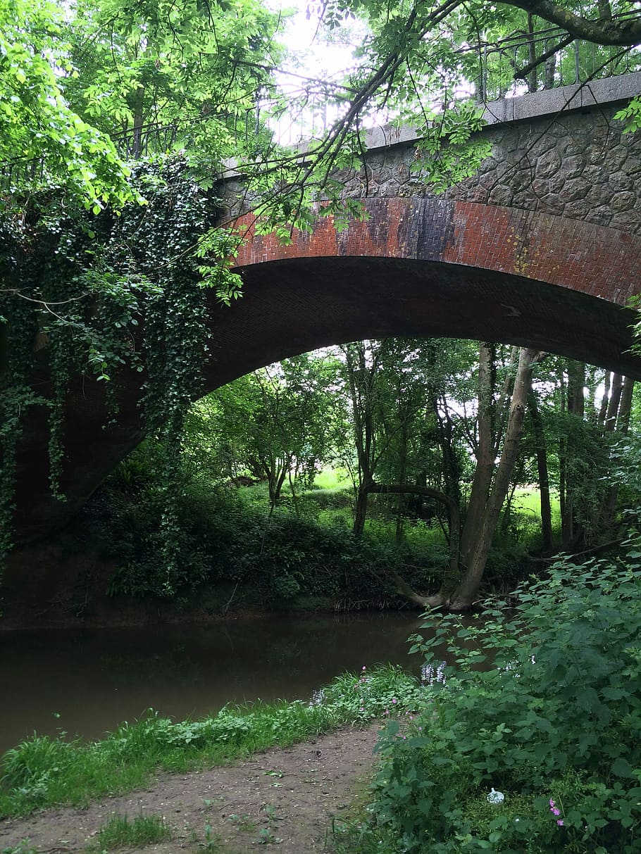 Bridge, Abandoned, Brick, Red, Forest, tree, outdoors, nature HD wallpaper