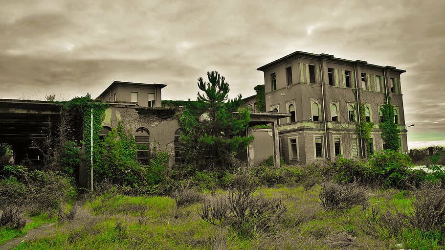 abandonment, structure, construction, building, decadence, cologne HD wallpaper