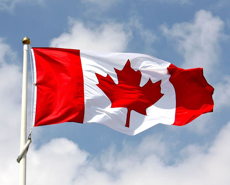 waving Canada flag on pole during day, National, Flag, Of, Canada