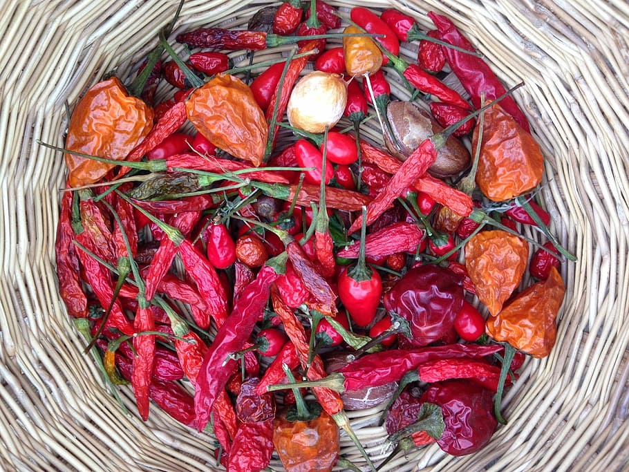 chilli, eat, sharp, red, food, spice, chili Pepper, vegetable HD wallpaper