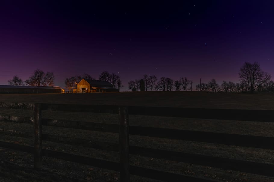 closeup photo of wooden fence, brown wooden fence, dark, night HD wallpaper