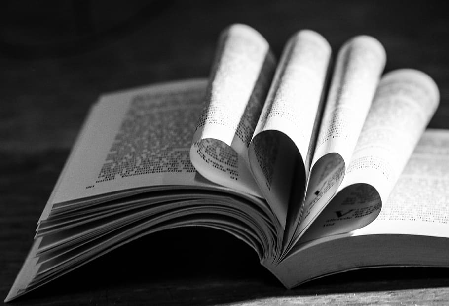 book, reading, pages, heart, reading book, publication, open HD wallpaper