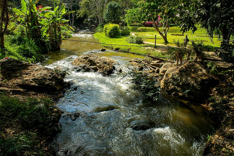 river landscape, flow, water, nature, stream, forest, tree HD wallpaper