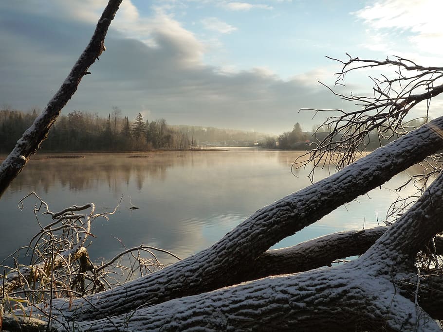 body of water near trees at daytime, river, lake, winter, landscape HD wallpaper