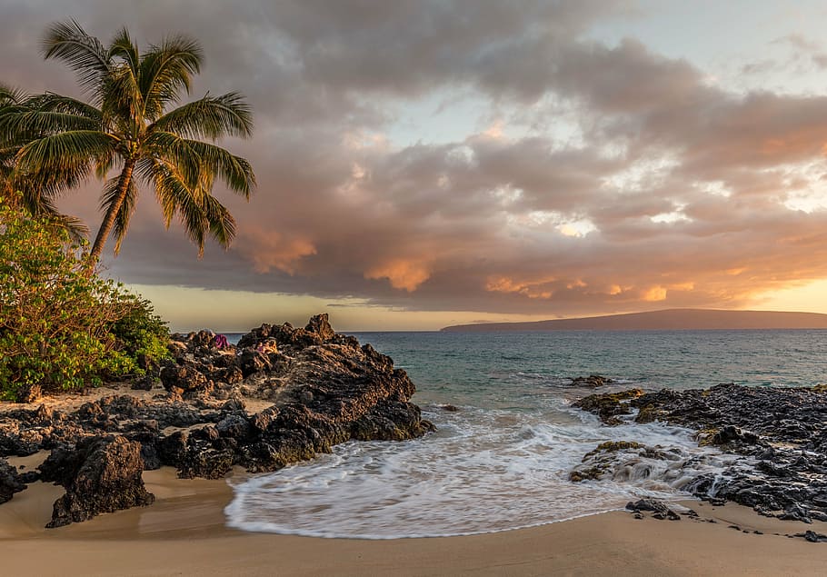 photography of sea shore and body of water, beach, clouds, landscape HD wallpaper