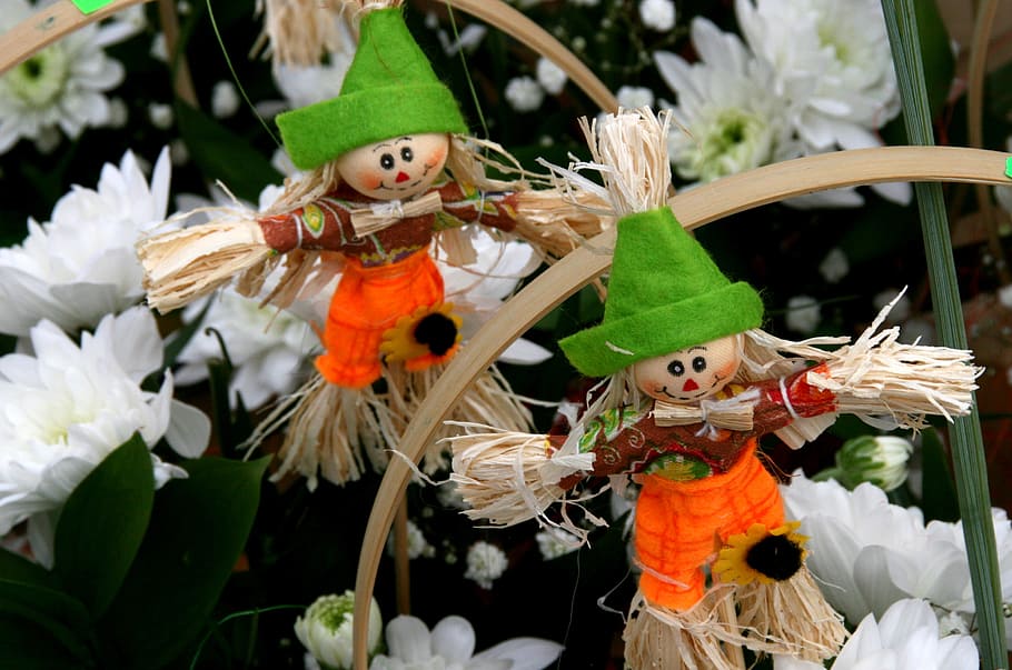 flower, scarecrow, spring, flowering plant, representation HD wallpaper