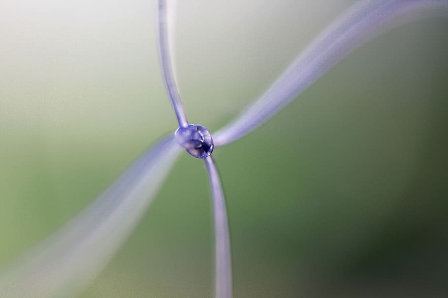 knot, macro, rope, pattern, connect, perspective, close-up HD wallpaper