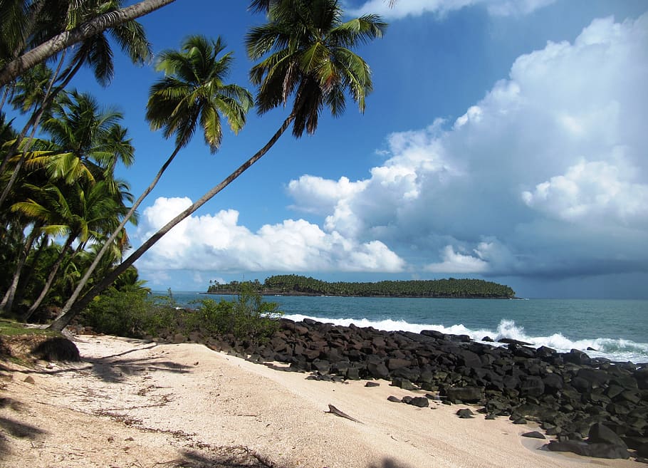 beach, islands of salvation, guyana, landscape, saint joseph island, HD wallpaper