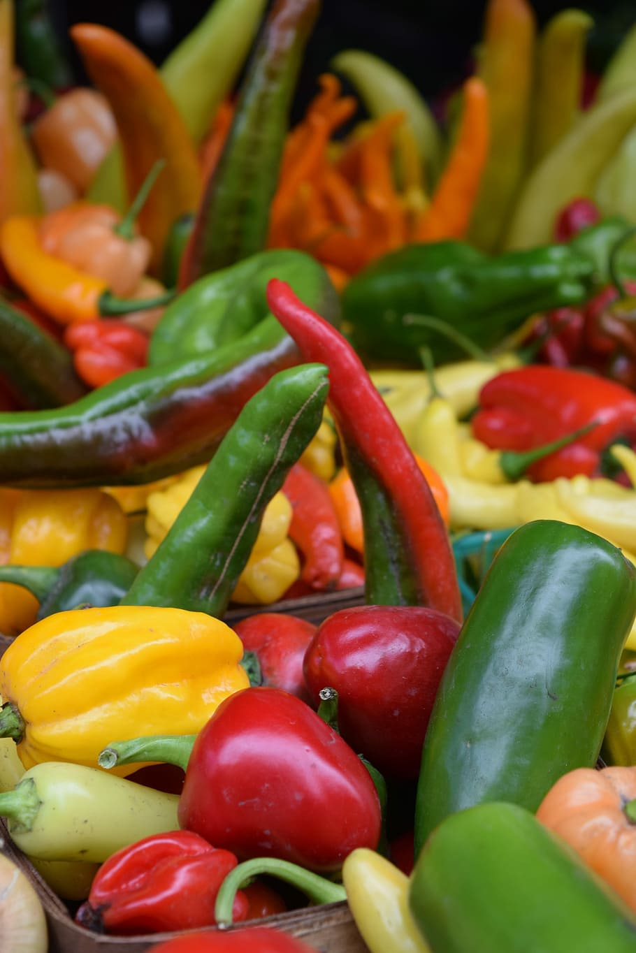 Vegetables, Veggies, Peppers, food and drink, freshness, no people HD wallpaper