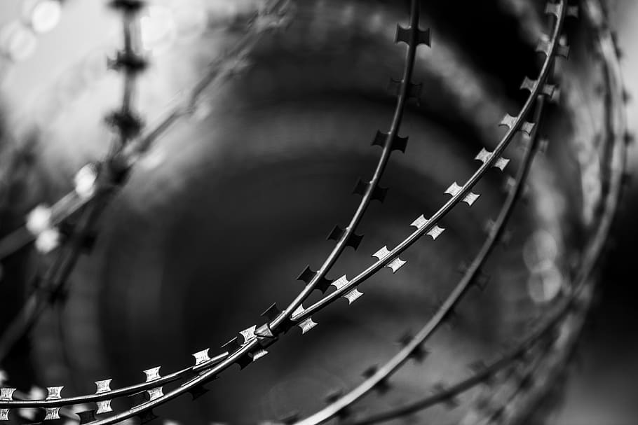 macro grayscale photography of barbed wire, razor, fence, barricade