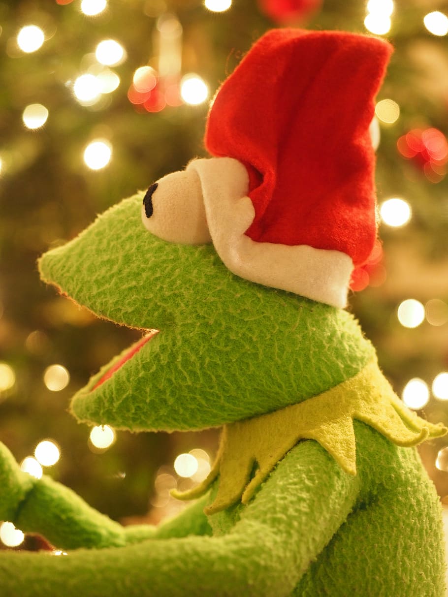 Hd Wallpaper Kermit Frog Christmas Frog Santa Claus Cheerful Funny Wallpaper Flare
