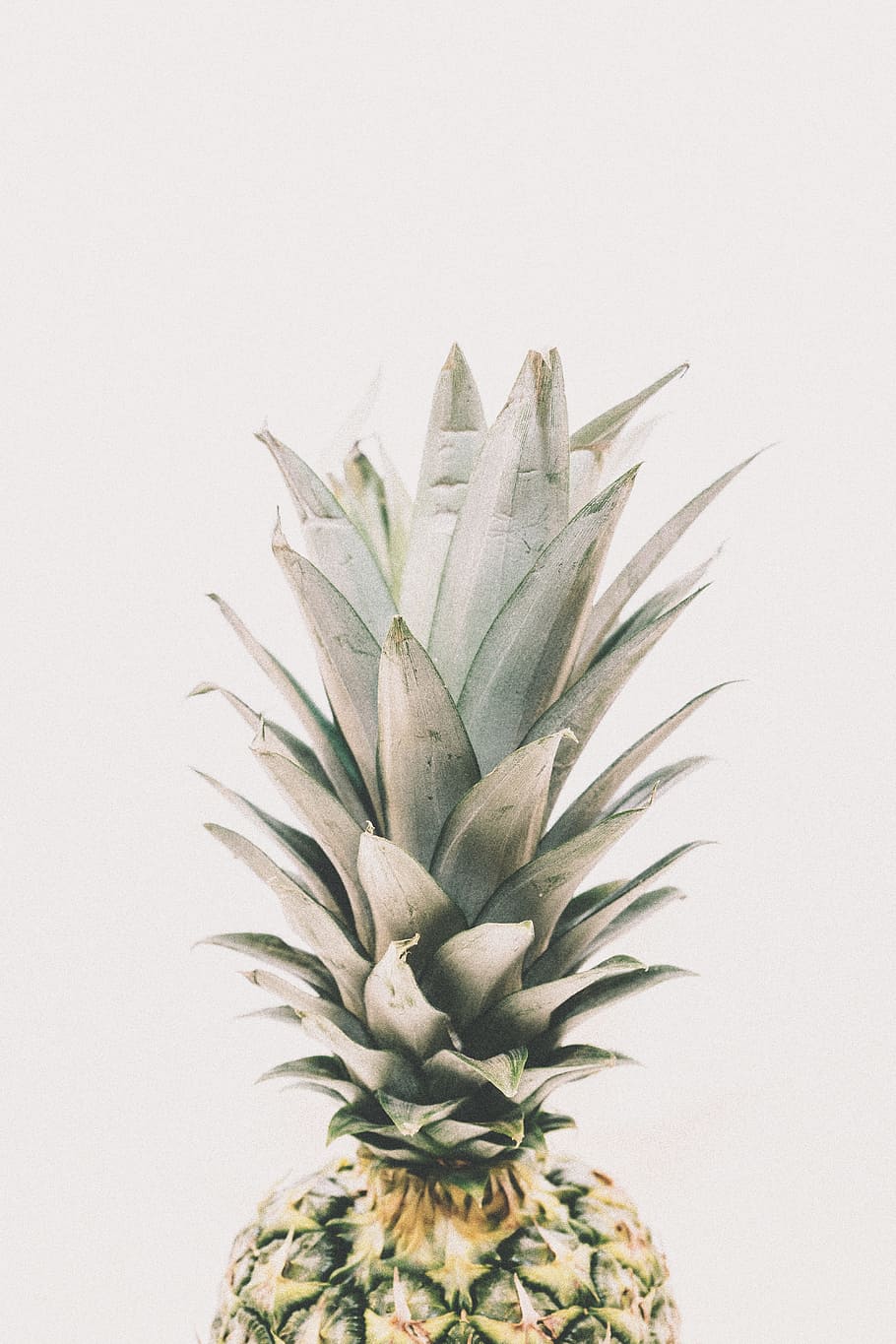 green pineapple fruit, dessert, appetizer, juice, studio shot HD wallpaper