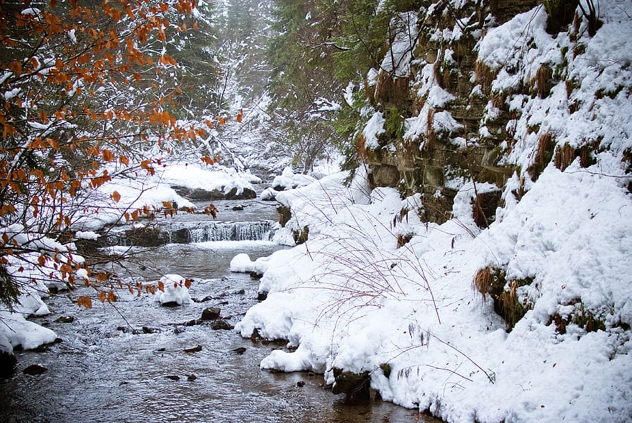 december, winter, wisla, snow, cold temperature, beauty in nature HD wallpaper