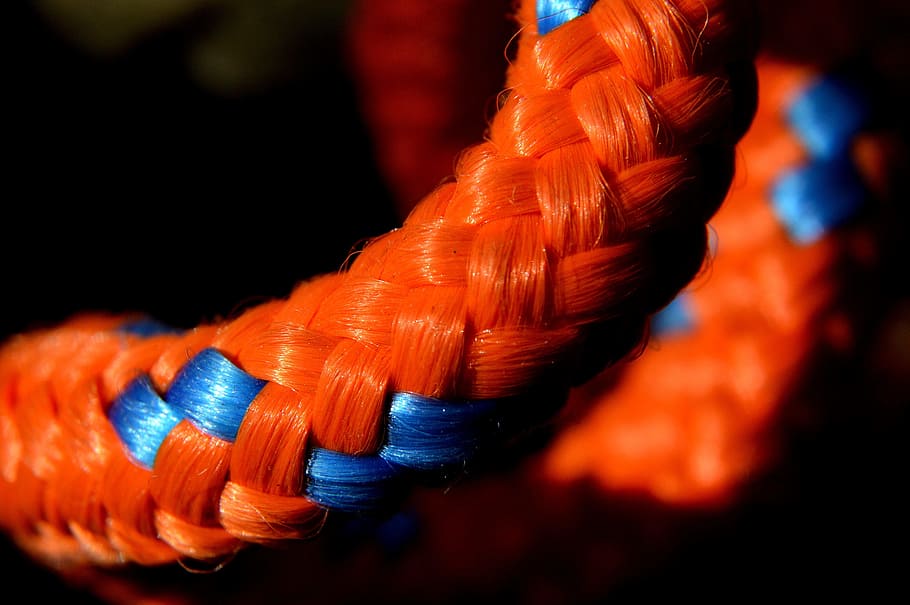 rope, string, orange, macro, close-up, animal, focus on foreground HD wallpaper