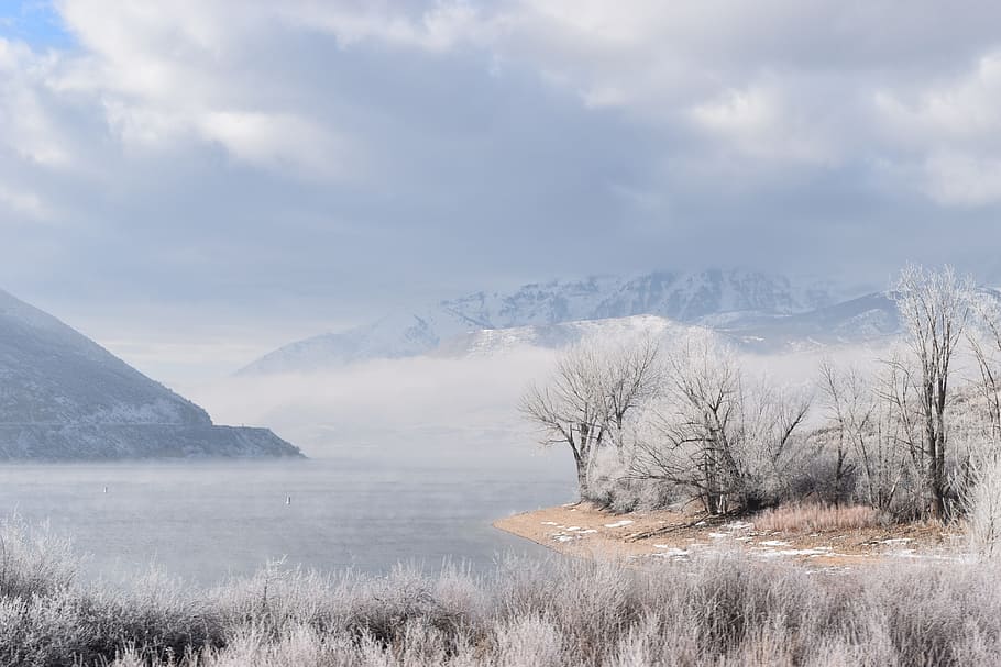landscape, winter, winter landscape, white, cold, sky, season HD wallpaper